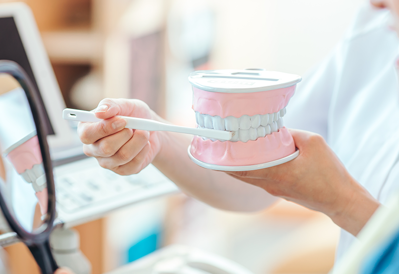 ブラッシング指導