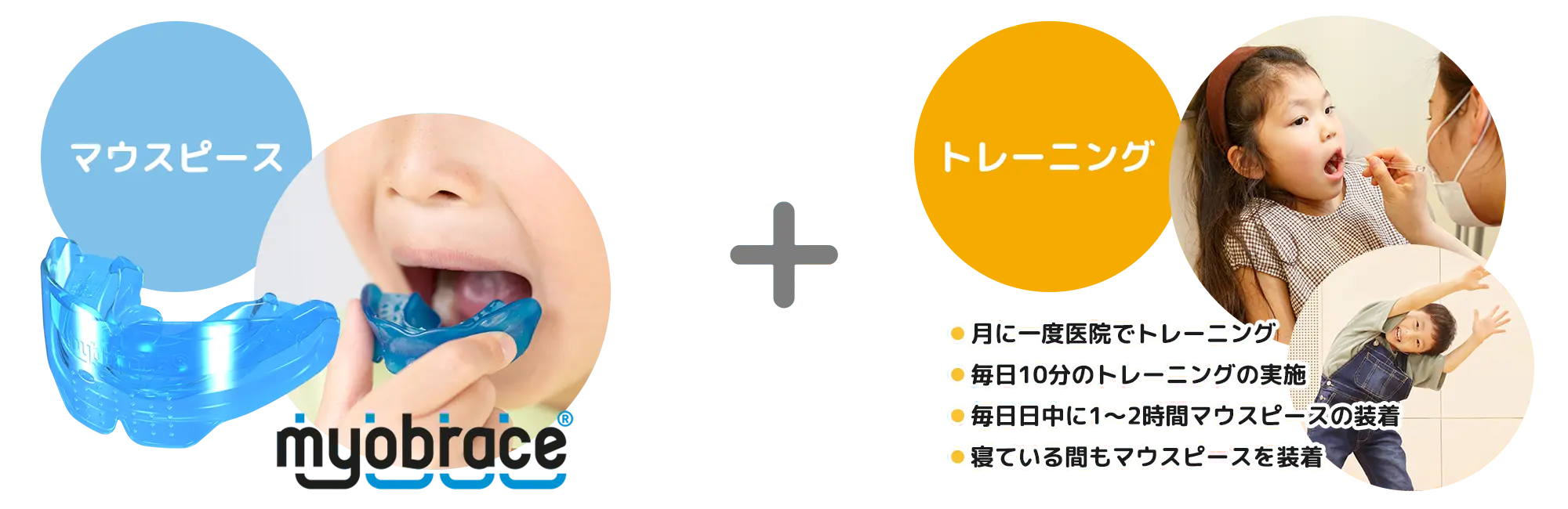 マイオブレースシステム